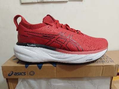 Picture of Asics Gel Nimbus 25 Running shoes for men