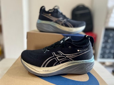 Picture of Asics gel nimbus 26 platinum running shoes for men