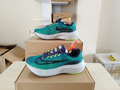 Picture of Air zoom fly 5 running shoes for men