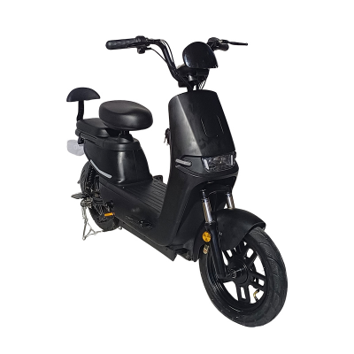 Picture of RYDO Leaf Black E-Bike 12Ah