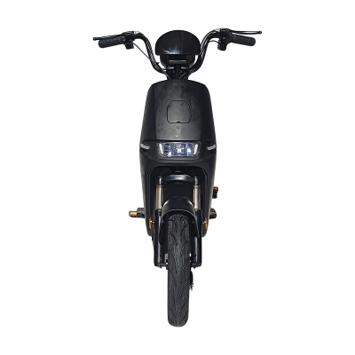 Picture of RYDO Leaf Black E-Bike 12Ah
