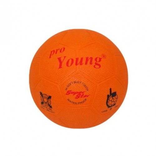 Picture of Handball - ProYoung - Size-2