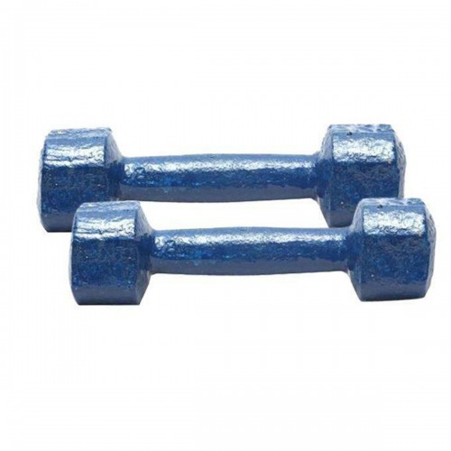 Picture of 2kg Blue Dumbbell