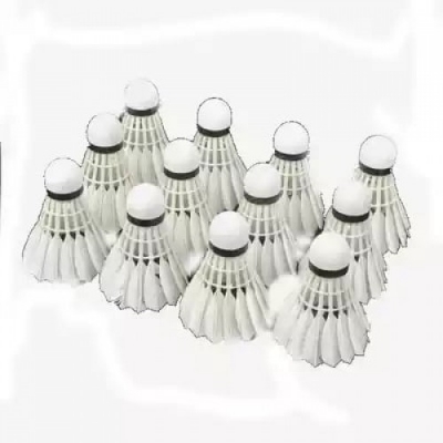 Picture of Golden wing Badminton Shuttles - 12 Pcs
