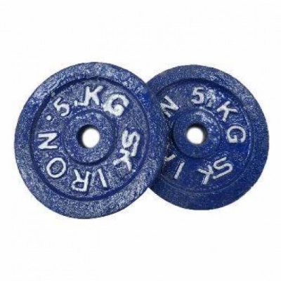 Picture of Dumbbell Weight Plate Blue 5 Kg - 2 Pcs