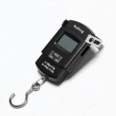 Picture of Portable Electronic Scale