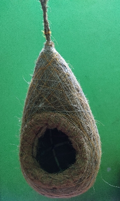 Picture of Hand  made organic bird nest- babui pakhir Basa