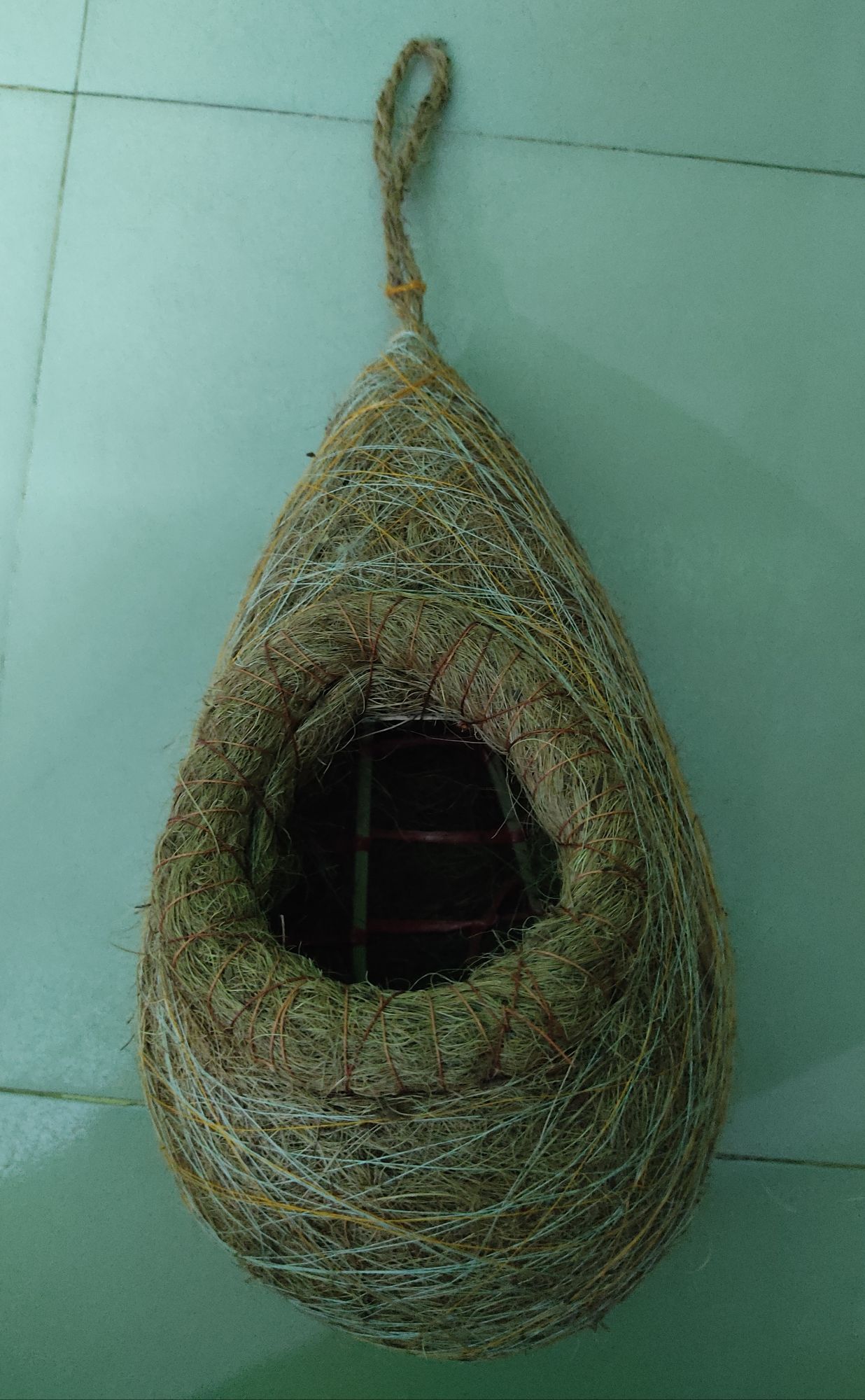 Picture of Hand  made organic bird nest- babui pakhir Basa