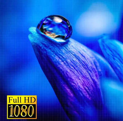 Picture of Golden Plus 55" LED Voice Control Smart TV