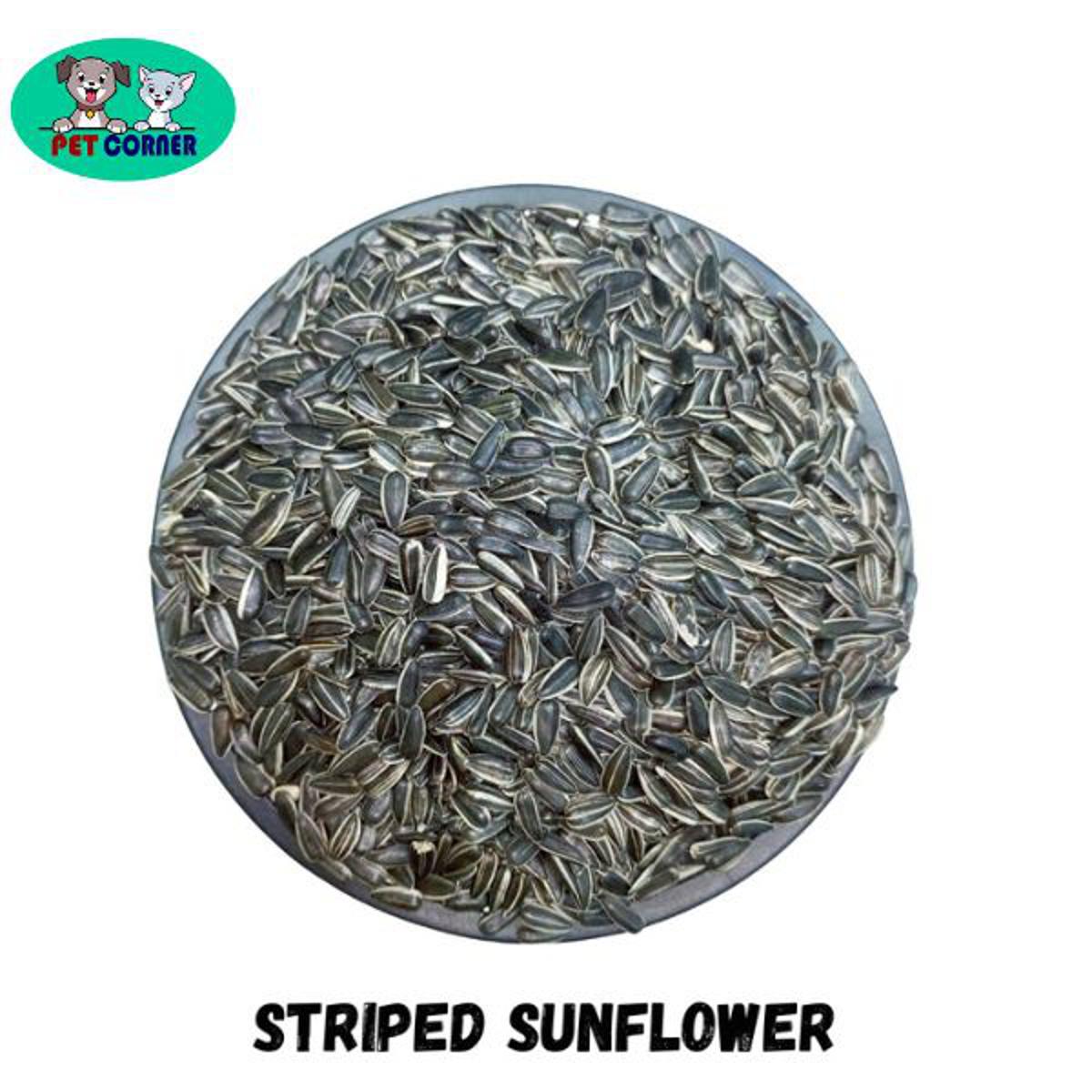 Picture of Striped Sun Flower Seeds For Bird 1 kg