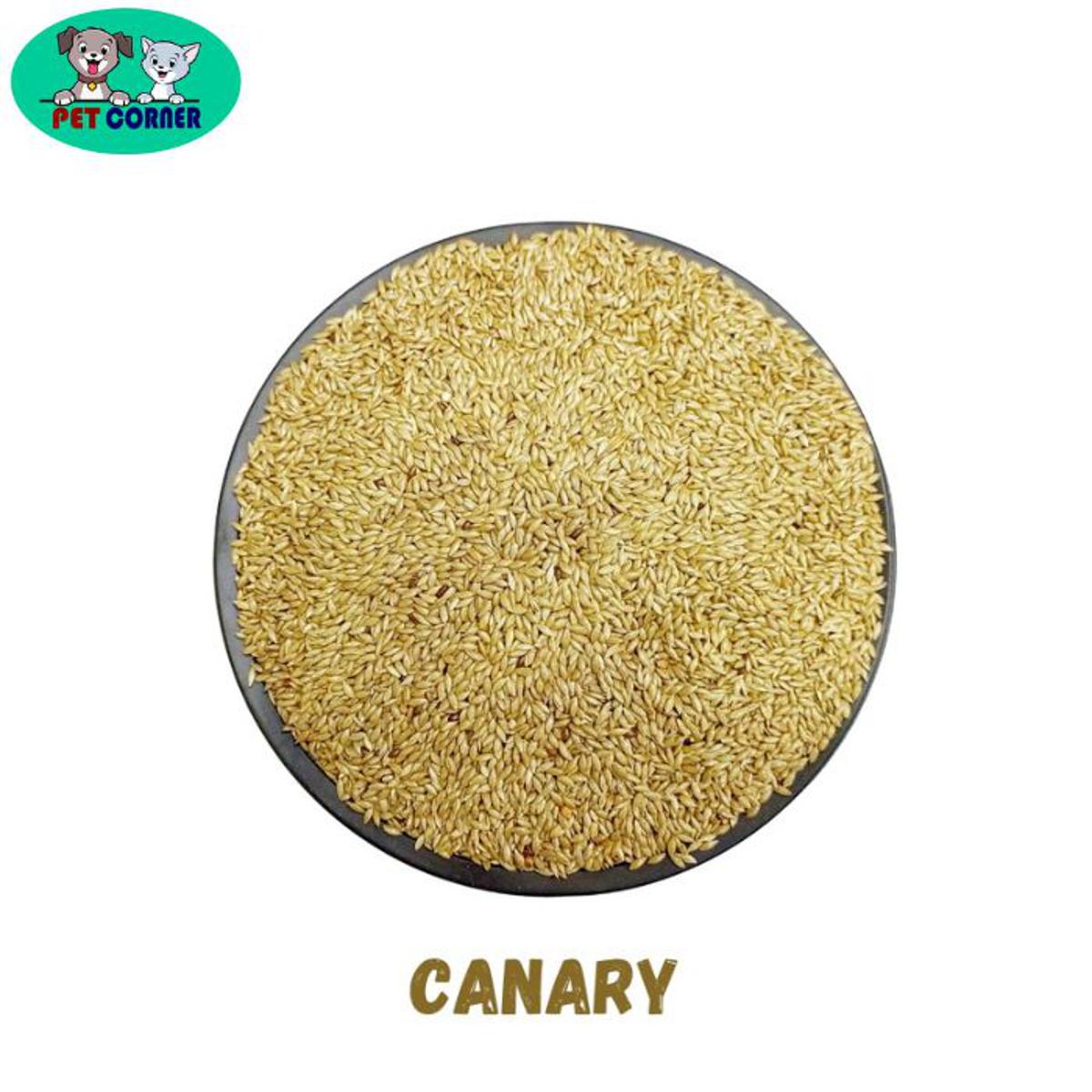 Picture of Natural Fresh Canary Seed For Bird 1 kg