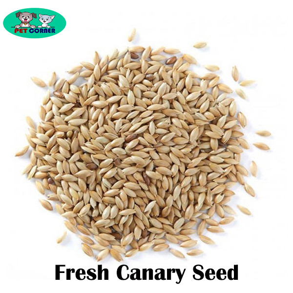 Picture of Natural Fresh Canary Seed for Bird 250gm