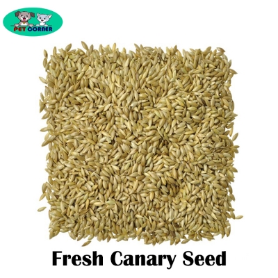 Picture of Natural Fresh Canary Seed for Bird 250gm