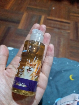 Picture of Bearing Aromatic Spa Essential Oil massage for Dog 65 ml