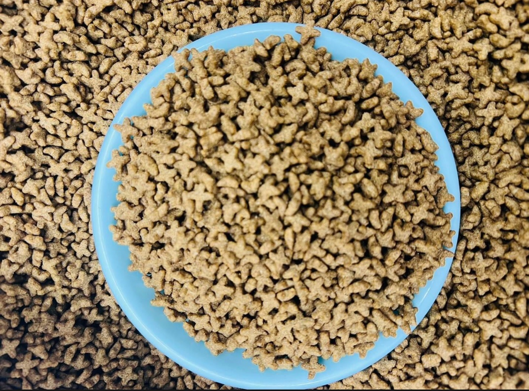 Picture of Repack Cat Food for all Age Cats 500 gm (SmartCat)