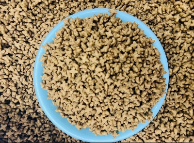 Picture of Repack Cat Food for all Age Cats 500 gm (SmartCat)