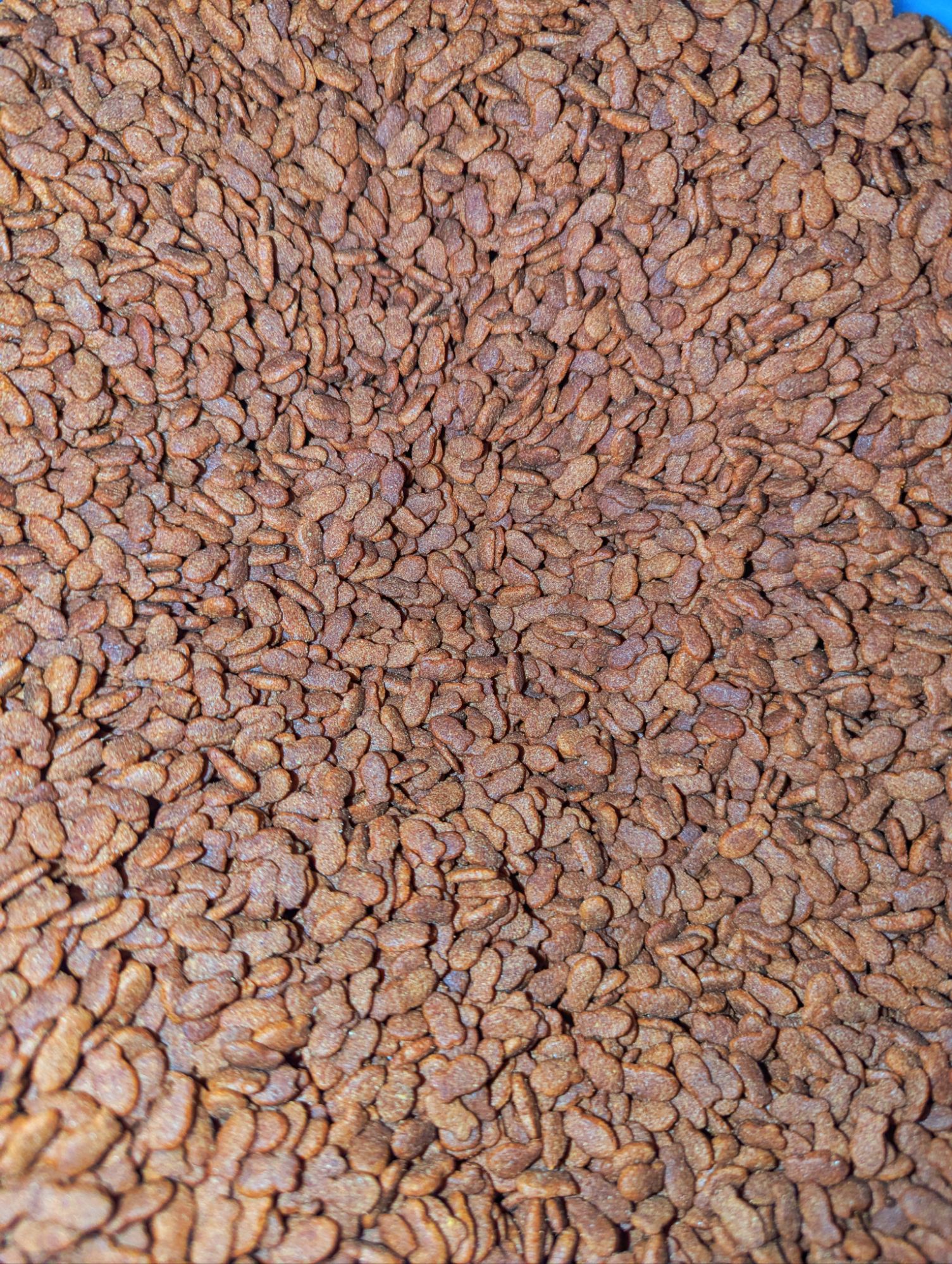 Picture of Mow Mow Repack Loose Cat Food Tuna Flavour 1 kg