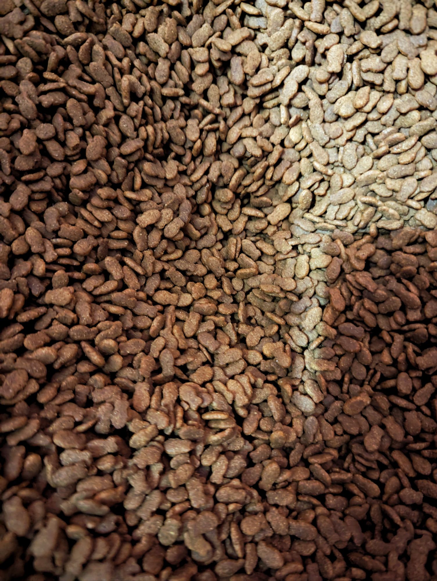 Picture of Mow Mow Repack Loose Cat Food Tuna Flavour 1 kg