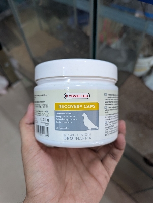 Picture of Versele-Laga Recovery Caps 203 gm 350 capsul