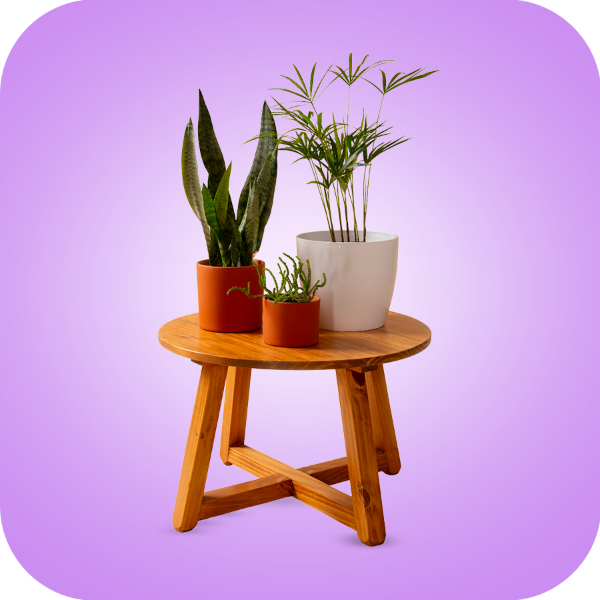 Picture for category Home Decor