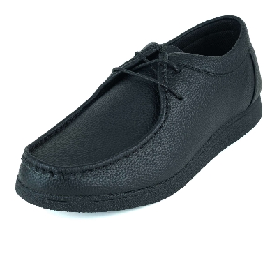 Picture of Apex Men's Casual Shoe
