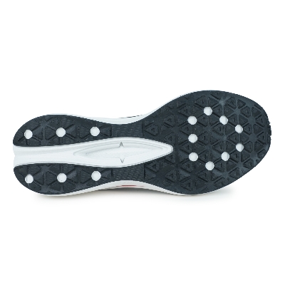 Picture of Sprint Men's Sports Shoe