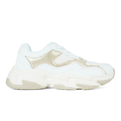 Picture of Sprint Women's Canvas