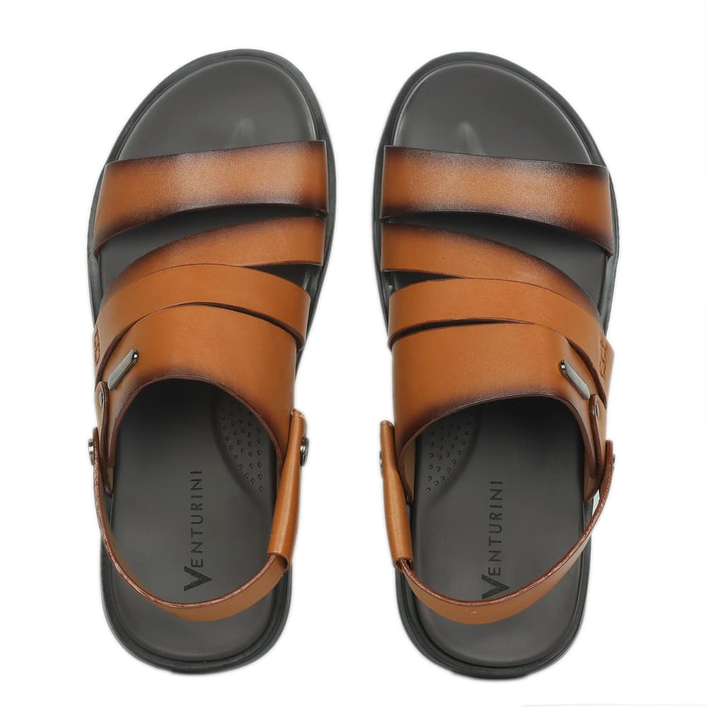 Picture of Venturini Men's Back Belt Sandal
