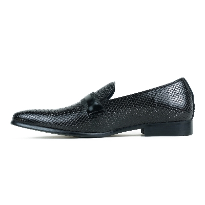 Picture of Venturini Men's Casual Shoe