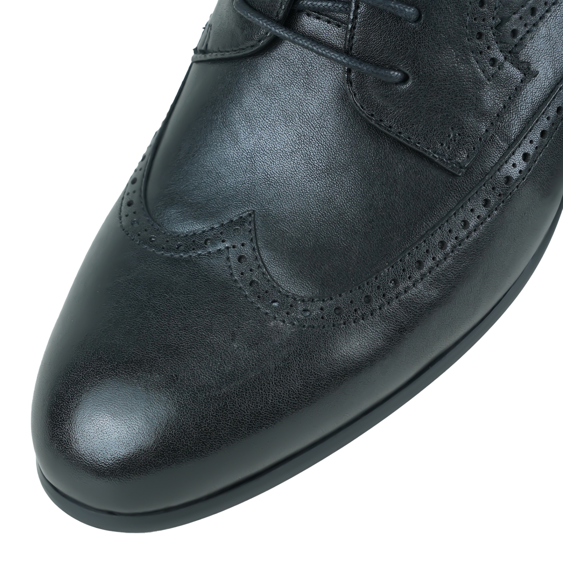 Picture of Venturini Men's Wingtip Derby Shoe