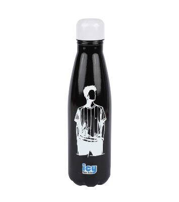 Picture of Premium SS Cola Water Bottle 450 ML || Assorted