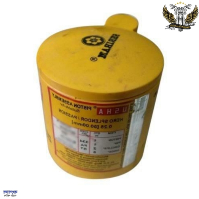 Picture of Usha Company Motorcycle Piston Ring Pin Ring Kit For Hero Splendor / Passion