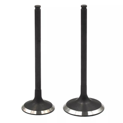 Picture of Motorcycle Engine Valve For Hero Hunk Motorcycle