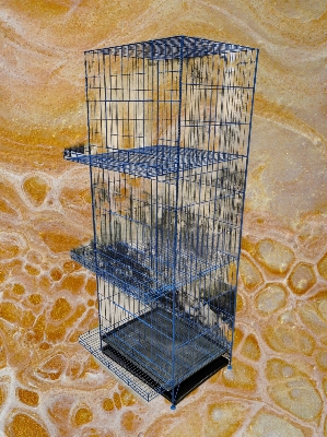 Picture of Murgir Cage Coop Cage Chicky Cage With Tray for 30 Murgi Can Easily Stay Together Cage Size 36"/18" ir 24/18 Inc  Cash on delivery available