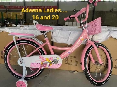Picture of 20 Inch Ladies / Girls Bicycle with Back Seat Carrier, Front Basket, Full Wheel Mudguard & Chain Protector – Stylish & Safe Female Cycle