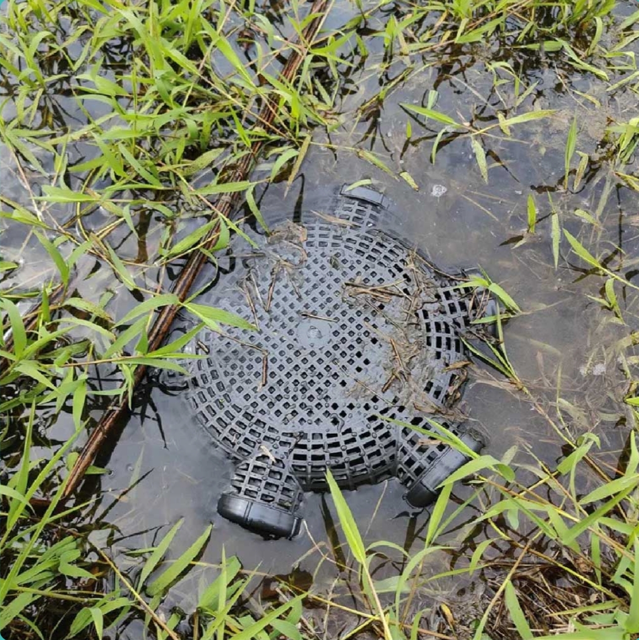 Picture of 7 Holes Catch Mixed Fish Trap Crayfish Catcher Outdoor Fishing Net Cage Plastic Fish Trap Cage Easy to Install