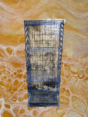 Picture of Murgir Cage Coop Cage Chicky Cage With Tray for 30 Murgi Can Easily Stay Together Cage Size 36"/18" ir 24/18 Inc  Cash on delivery available