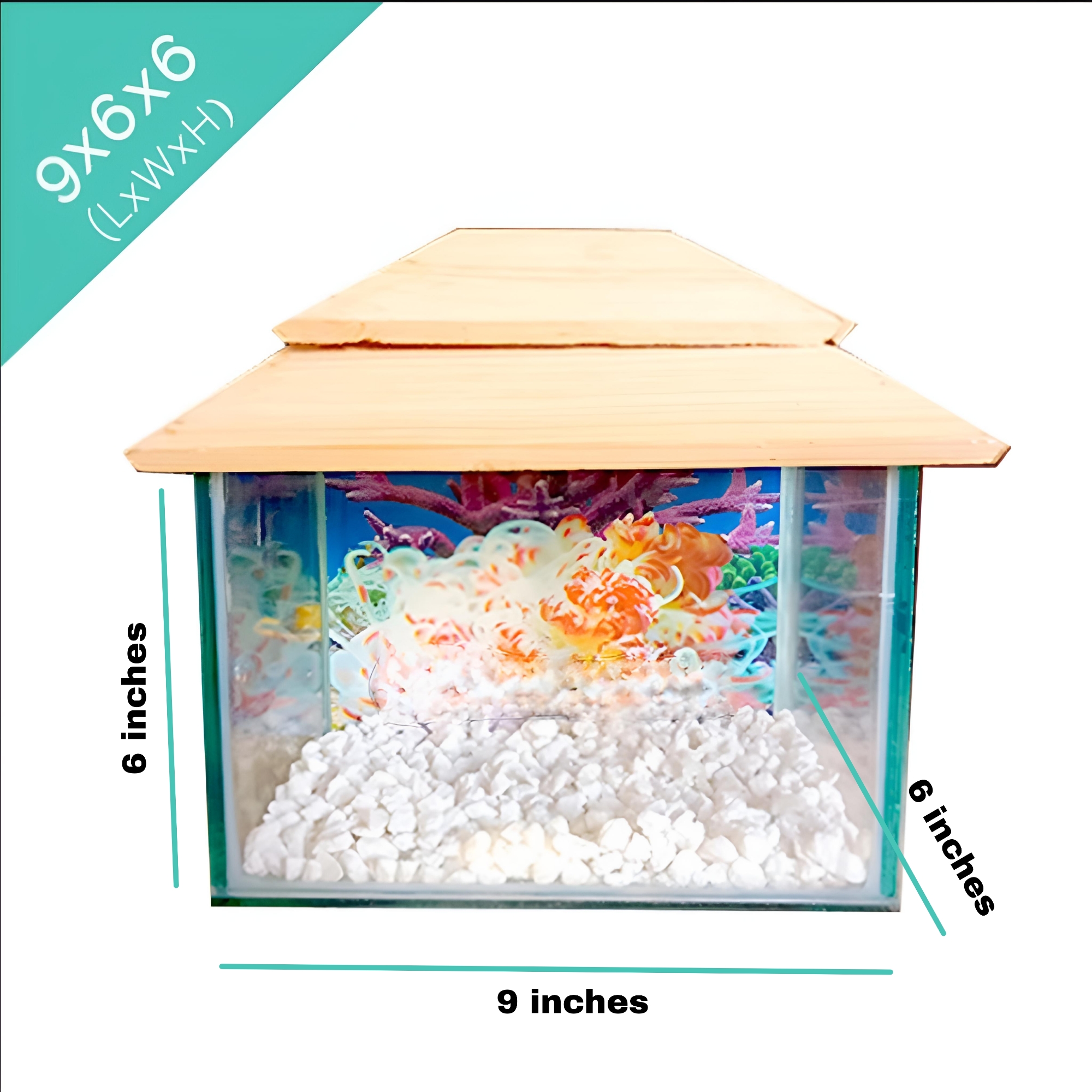 Picture of Glass Made Deshi Aquarium For Fish With All Accessories You Don't Have To Buy Anything (Small Size 9x6x6 Inches)