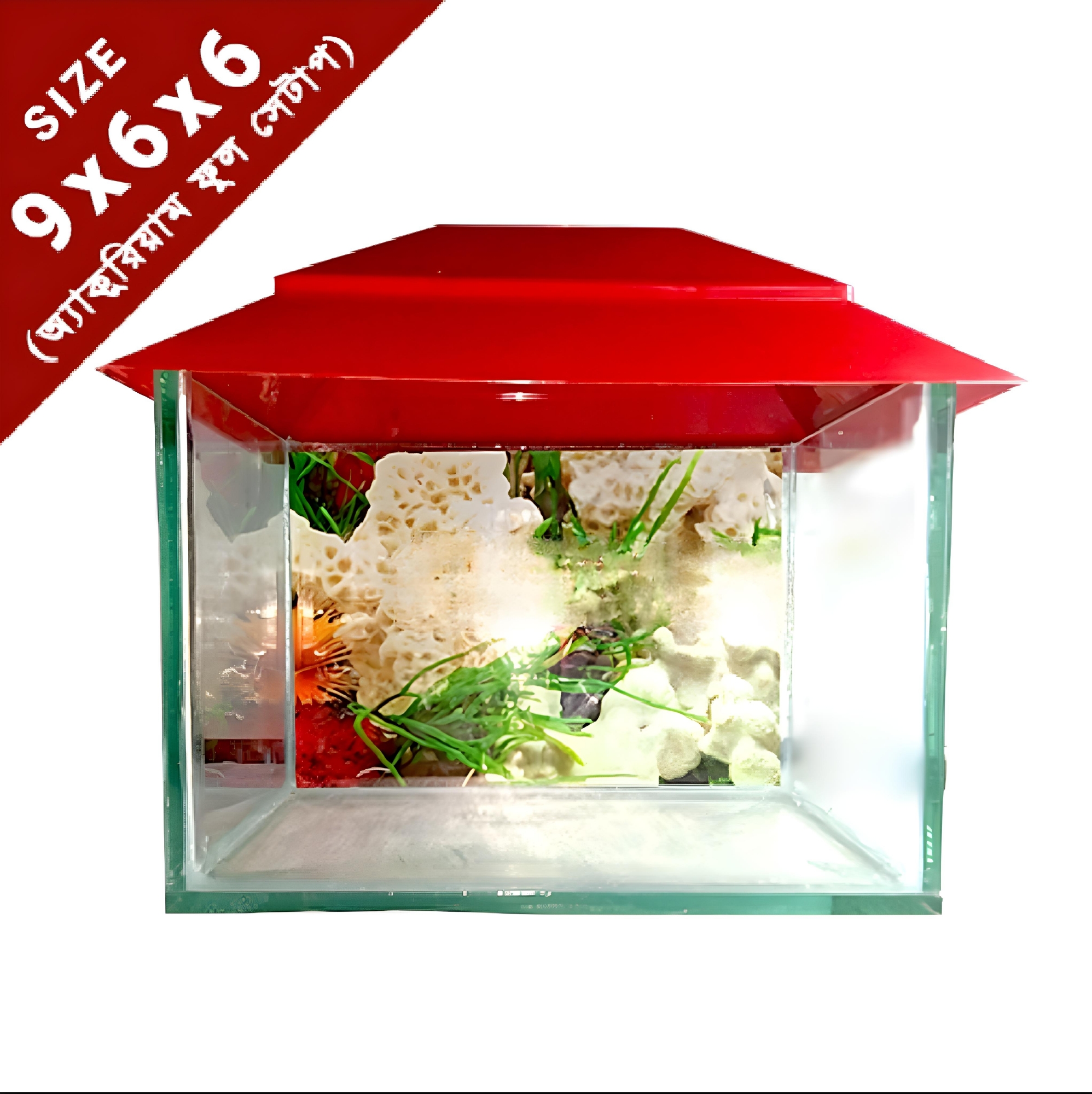 Picture of Glass Made Deshi Aquarium For Fish With All Accessories You Don't Have To Buy Anything (Small Size 9x6x6 Inches)