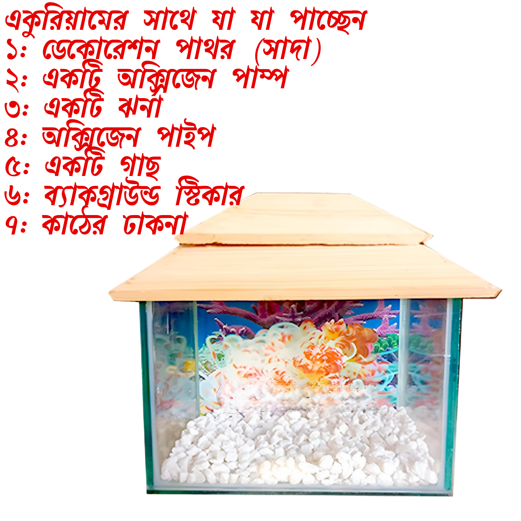 Picture of Glass Made Deshi Aquarium For Fish With All Accessories You Don't Have To Buy Anything (Big Size 18x9x10 Inches)