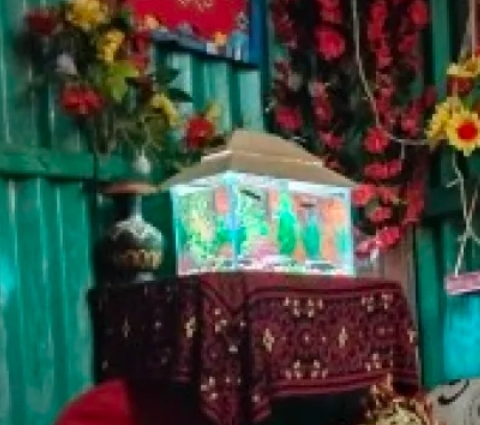 Picture of Glass Made Deshi Aquarium For Fish With All Accessories You Don't Have To Buy Anything (Big Size 18x9x10 Inches)