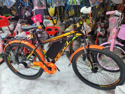 Picture of E-bike 24v and 20 Am full alloy Mountain E-bike without paddle assist