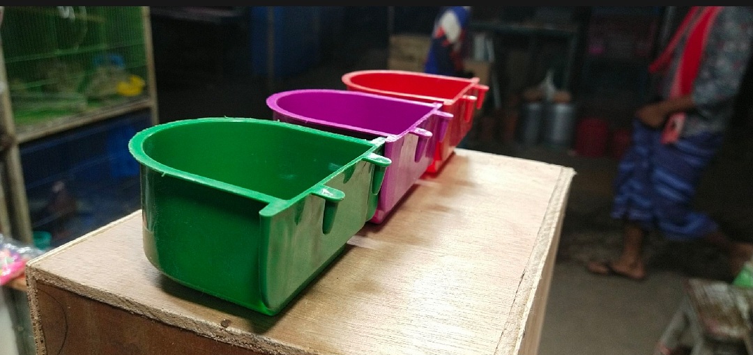 Picture of Bird Food and Water box 5pic