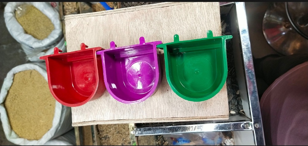 Picture of Bird Food and Water box 5pic