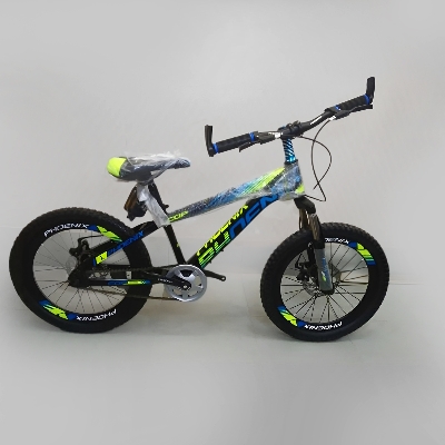 Picture of 20'' Phoenix Double Disc Brake With Fat Tyte Cycle - Enjoy Smooth And Reliable Braking Performance With The 20'' Phoenix Disc Brake Cycle Cash On Delivery Available