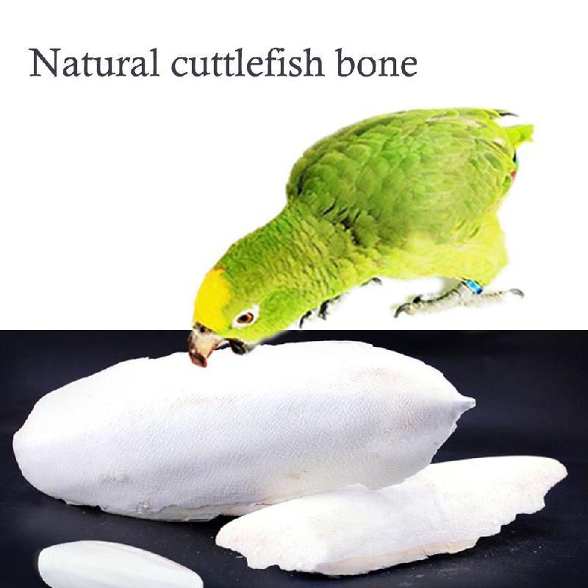 Picture of Cuttlebone Cuttlefish Bone Cuttle Fish Bird Food 100g