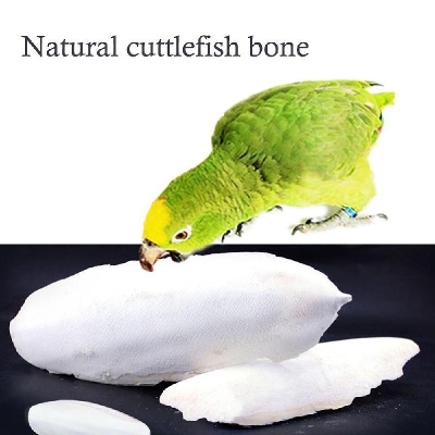 Picture of Cuttlebone Cuttlefish Bone Cuttle Fish Bird Food 100g