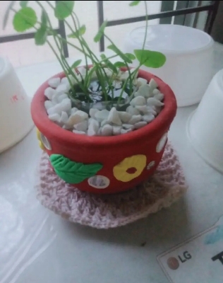 Picture of Aquarium or Garden Flower Top White Stone For Decoration