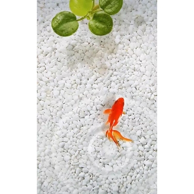 Picture of Aquarium White Stone For Decoration 4KG