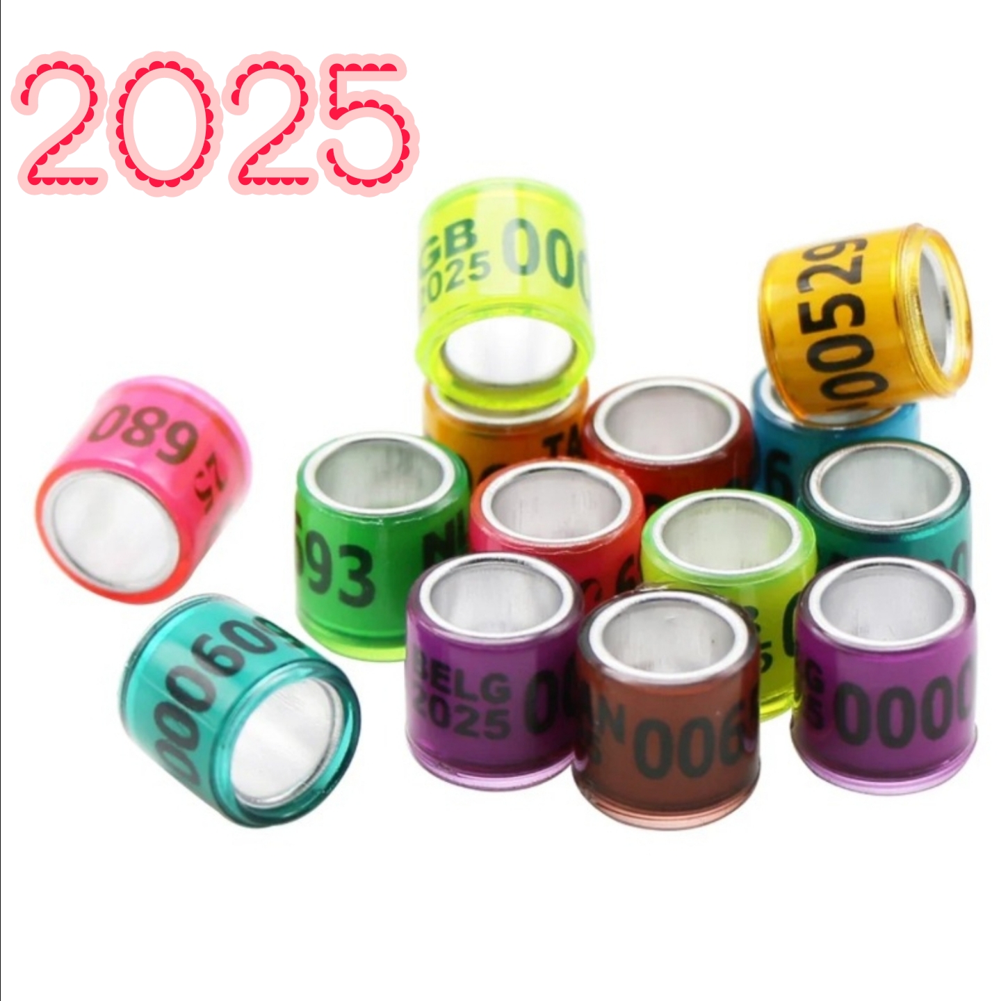 Picture of 2025 Multicolor Racer Pigeon Foot Ring 8mm With Word Earrings Quality Durable Bird Ring Pigeon Racing Rings Bird Training Tool 50 Pcs